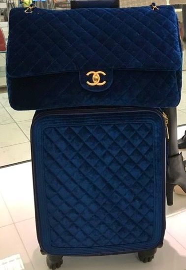 Designer Luggage Sets