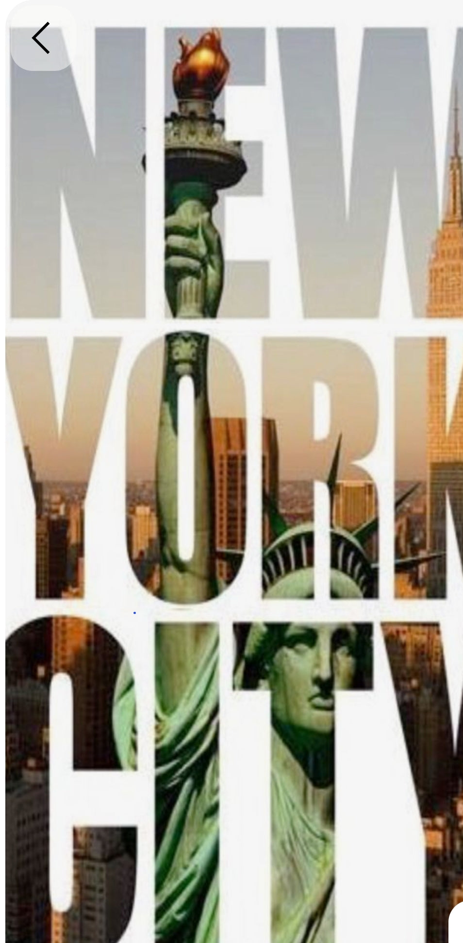 Thanksgiving in New York!